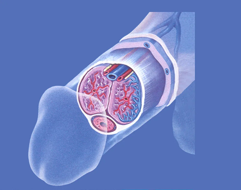 ⚡ Restore: Rebuild Nitric Oxide & Testosterone