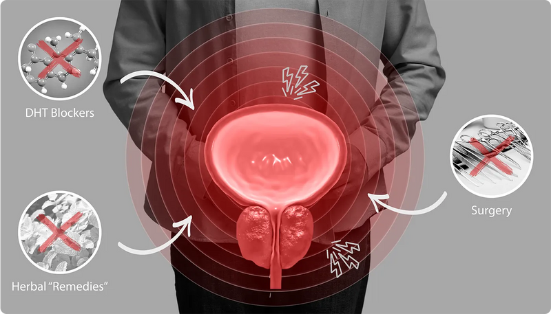 Section Graphic Mobile